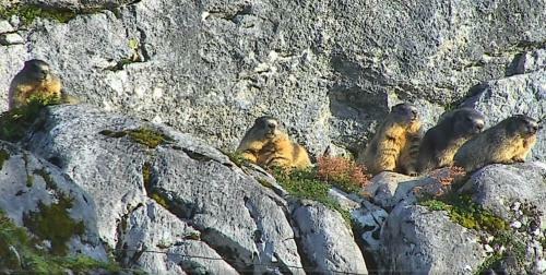 Apartamento Brandtnerhof Betriebe