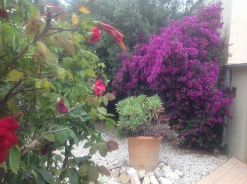 Bed & Breakfast Casa Eire