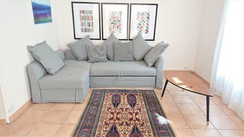 Apartamento Ceret Pyrenean Star