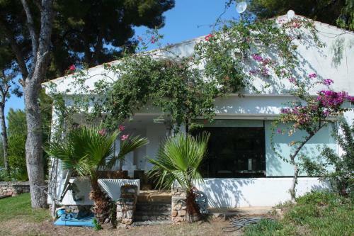 Villa Acacia