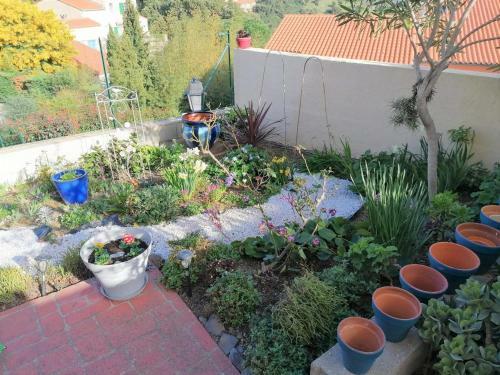Villa Les Hauteurs De Collioure