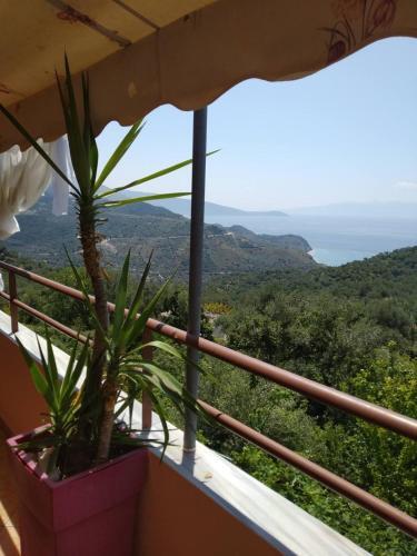 Villa Maria Luxury Apartments ''bunec-piqeras''!