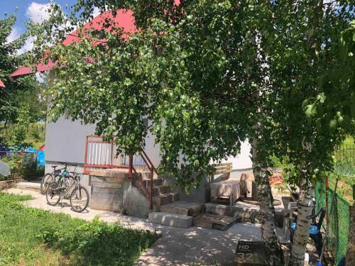 Apartment Park