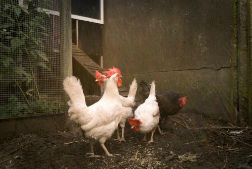 Bed And Breakfast Breda 'lieu De Ruse'