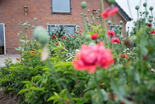 B&B Groot Pepersgoed