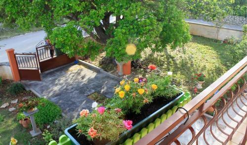 Apartmani Volga