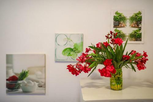 Apartment Corto