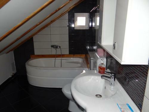 Hostal Pensiunea Lacul Albesti