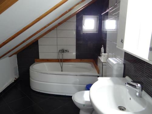 Hostal Pensiunea Lacul Albesti