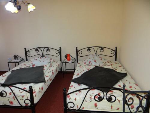 Hostal Pensiunea Lacul Albesti