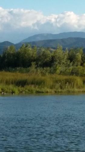 Hostal Pensiunea Lacul Albesti