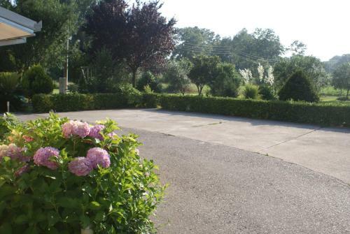 Helena's Sweet Home