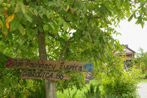 Agroturismo Dom Pachnacy Zywica