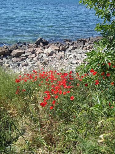 Apartamento Private Studio, South Bea?h, Nessebar, Larisa