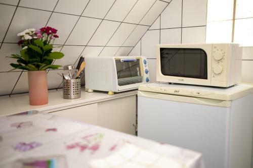 Orgonavir�g Apartman