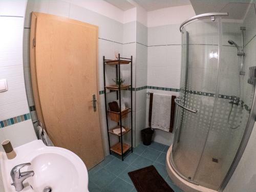 Apartment Branka