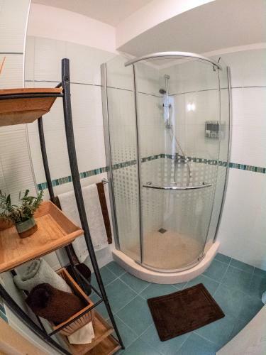 Apartment Branka