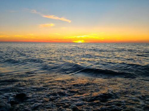 Apartment In Magnolia