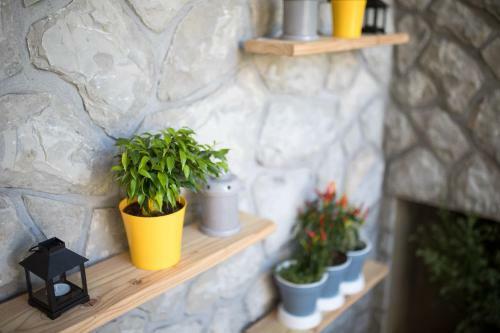 Studio Apartment Lucija
