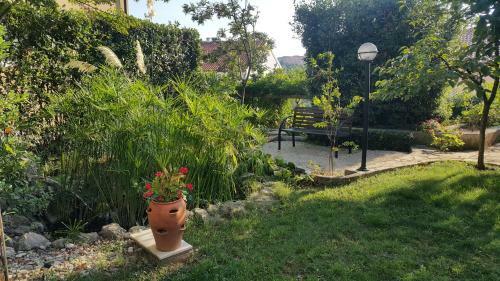 Apartamento Elegance