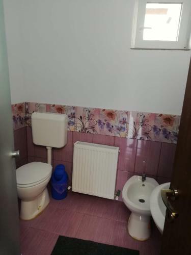 Hostal Pensiunea Mario
