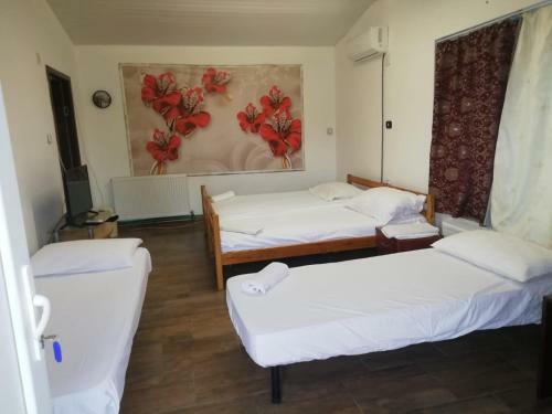 Hostal Pensiunea Mario