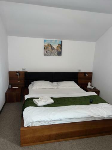 Hostal Pensiunea Domeniul Regal