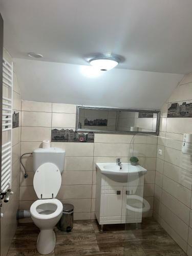 Hostal Pensiunea Domeniul Regal