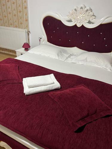 Hostal Pensiunea Domeniul Regal