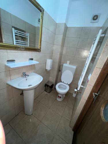 Hostal Pensiunea Domeniul Regal