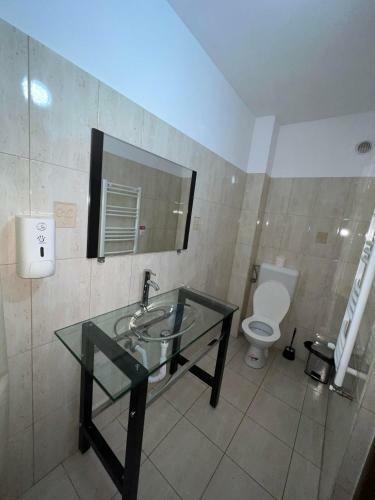 Hostal Pensiunea Domeniul Regal