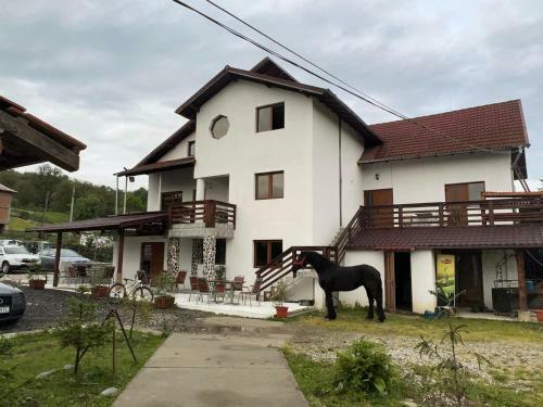 Hostal Pensiunea Domeniul Regal