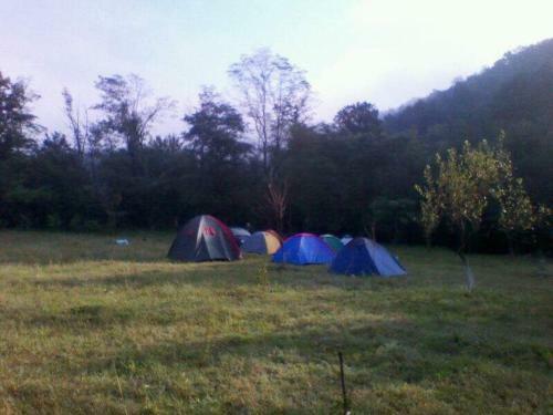 Camping In Clisura Dunarii