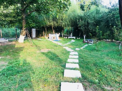 Camping In Clisura Dunarii