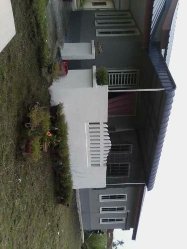 Homestay D'laila