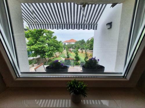Apartmani Daniela