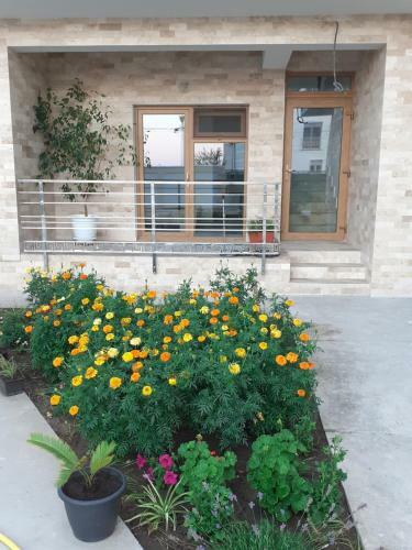 Hostal Vila Irina