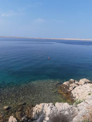 Apartmani Iva