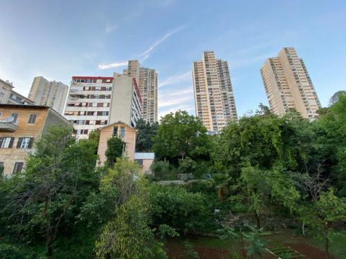 Bright Apartment 45m2 - Free Parking - Wifi