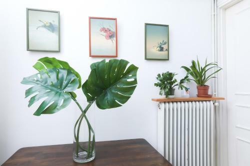 Apartamento Luccil's Home Downtown