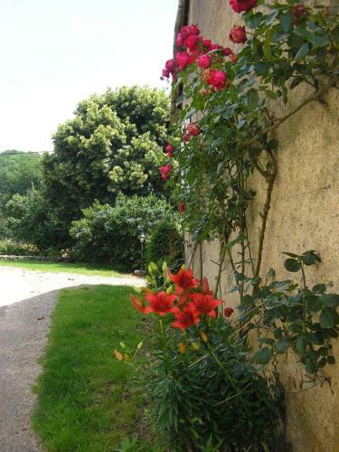 Bed & Breakfast La Ferme Jarlan