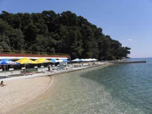 Apartment In Palit/insel Rab 17828