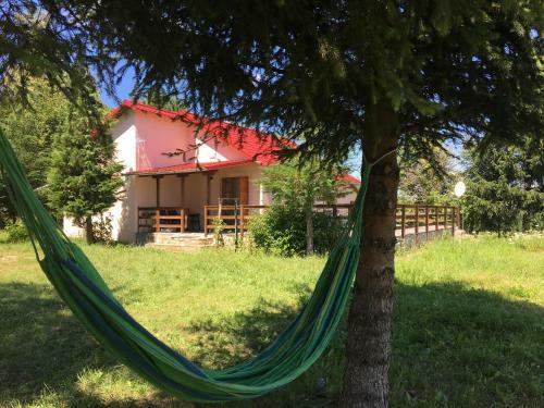 Cabana Cu Mesteceni Varatec