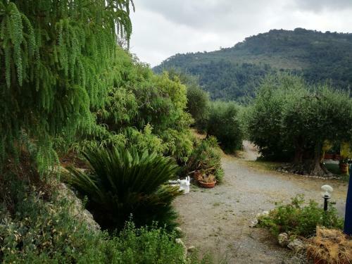 Bed & Breakfast Il Giardino Degli Ulivi