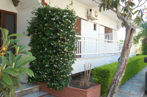 Giorgos Apartments Square