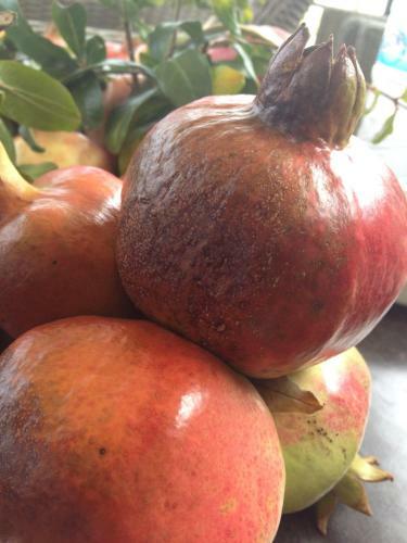 Giorgos Apartments Square