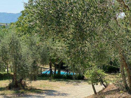 Agriturismo Marchesi Gondi