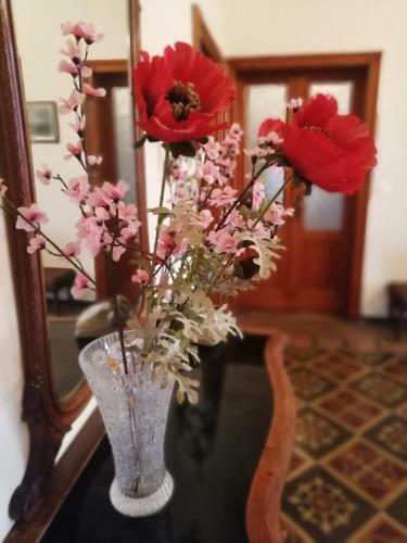 Apartamento La Casa Del Girasole