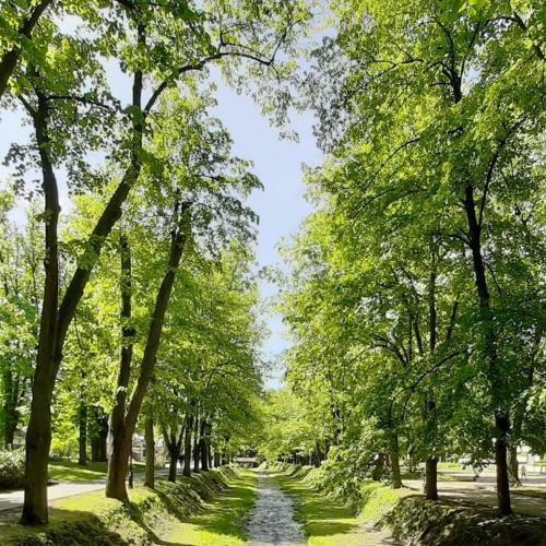 Novo! Apartman Vorteks Vrnjacka Banja