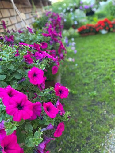 Hostal Searooms Ragaciems